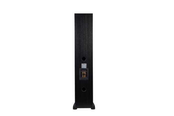 Rear view of a Totem - Bison Twin Tower floorstanding speaker with dual ports and a connection panel.