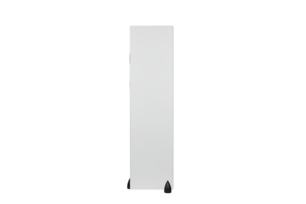 A tall, rectangular, freestanding Bison Twin Tower speaker with a small black support at its base stands like a totem in the room.