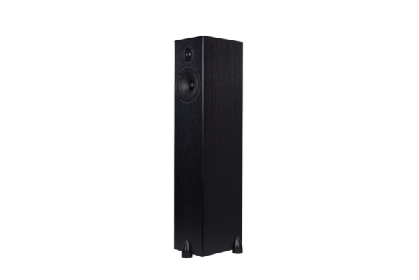 The Totem Bison Tower floor-standing speakers are black, rectangular in shape, and feature both a front-facing tweeter and woofer.