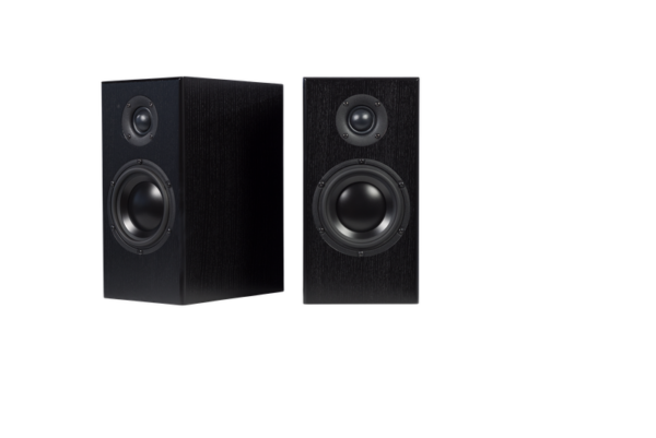 A pair of Totem Bison Monitor bookshelf speakers with a modern design. The left speaker is slightly tilted while the right one faces forward. Each speaker features a large woofer and a smaller tweeter, delivering exceptional sound quality.