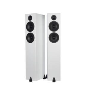 Two Totem Bison Twin Tower floorstanding speakers, featuring black drivers and tweeters, positioned side by side against a white background.