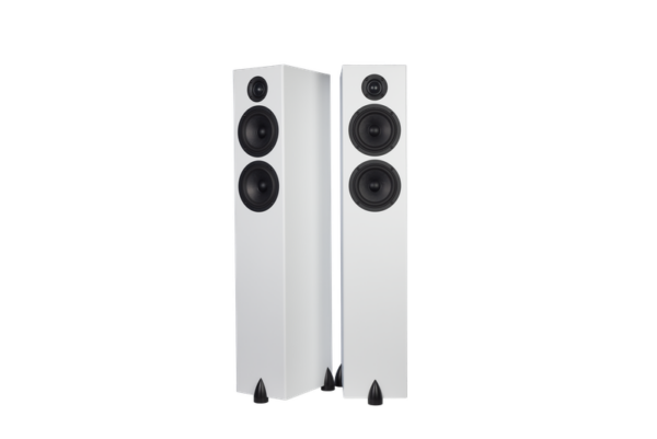 Two Totem Bison Twin Tower floorstanding speakers, featuring black drivers and tweeters, positioned side by side against a white background.